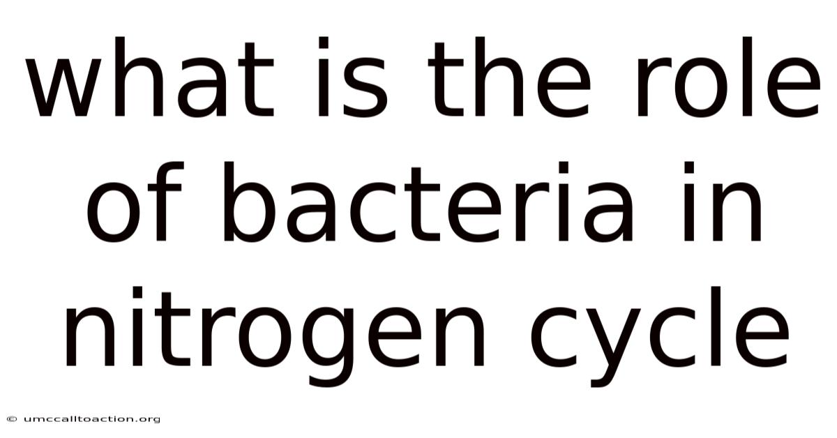 What Is The Role Of Bacteria In Nitrogen Cycle