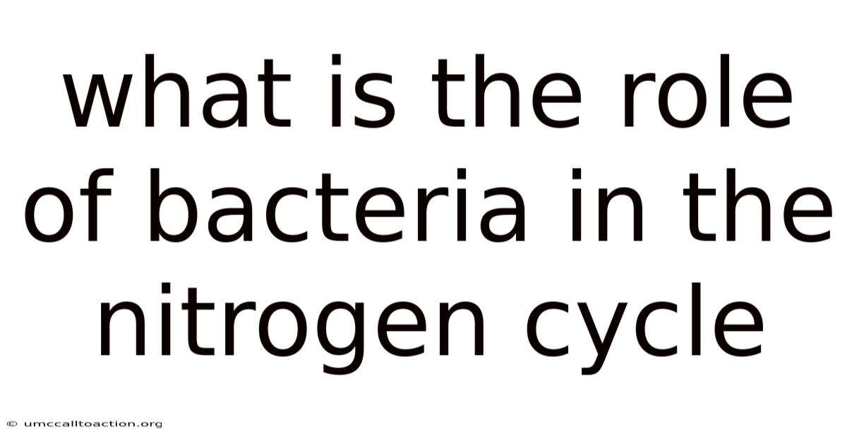 What Is The Role Of Bacteria In The Nitrogen Cycle