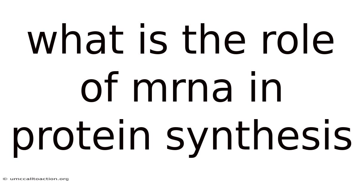 What Is The Role Of Mrna In Protein Synthesis
