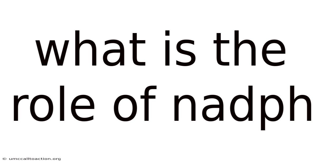 What Is The Role Of Nadph