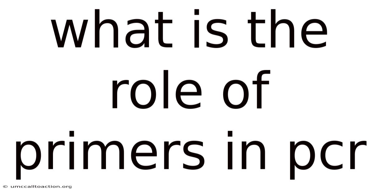 What Is The Role Of Primers In Pcr