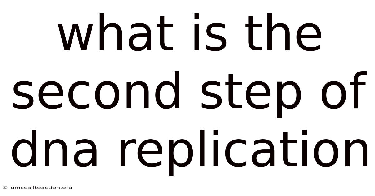 What Is The Second Step Of Dna Replication