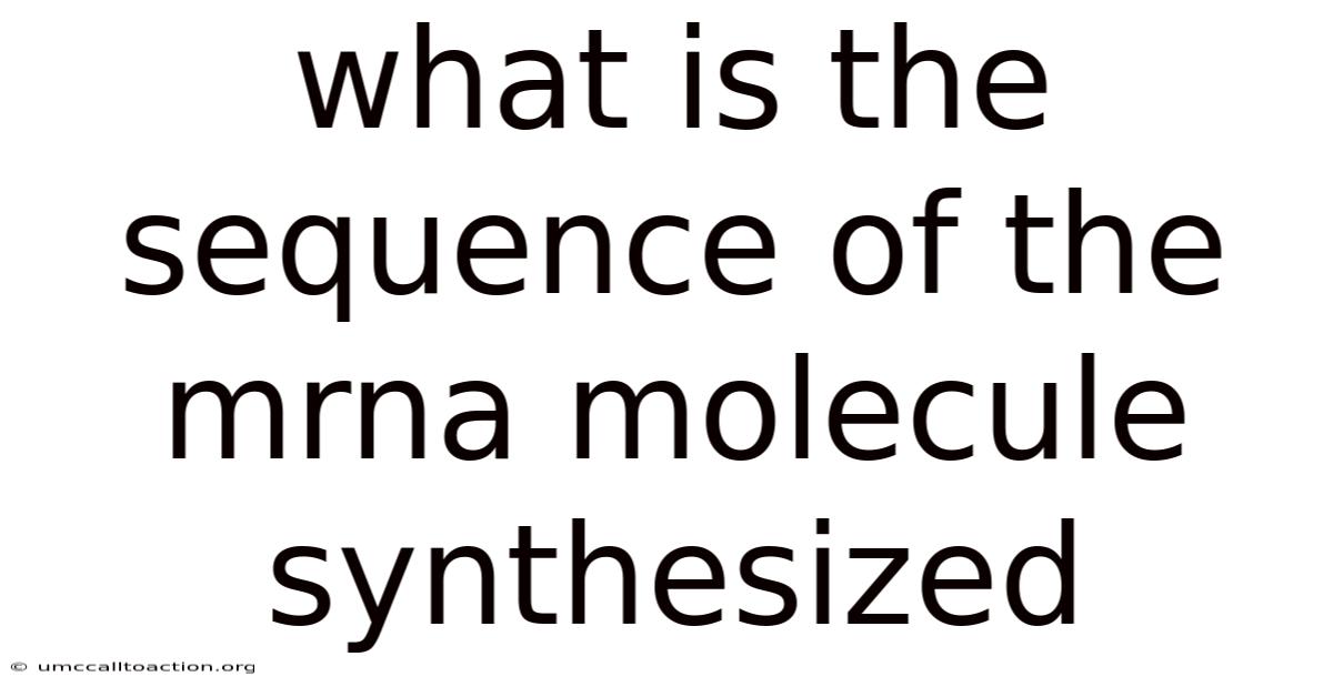 What Is The Sequence Of The Mrna Molecule Synthesized