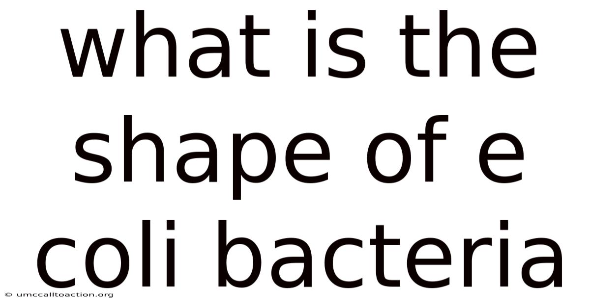 What Is The Shape Of E Coli Bacteria