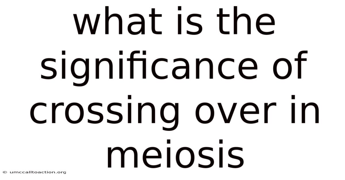 What Is The Significance Of Crossing Over In Meiosis