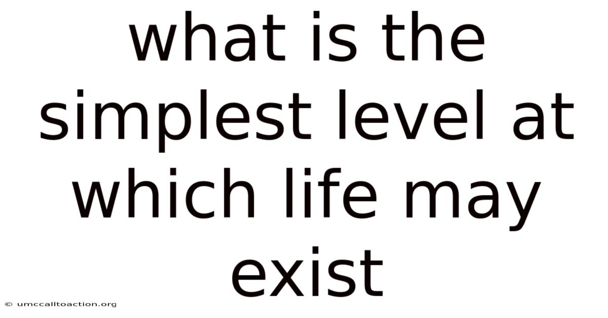 What Is The Simplest Level At Which Life May Exist
