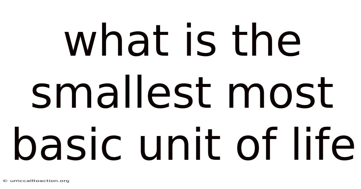 What Is The Smallest Most Basic Unit Of Life