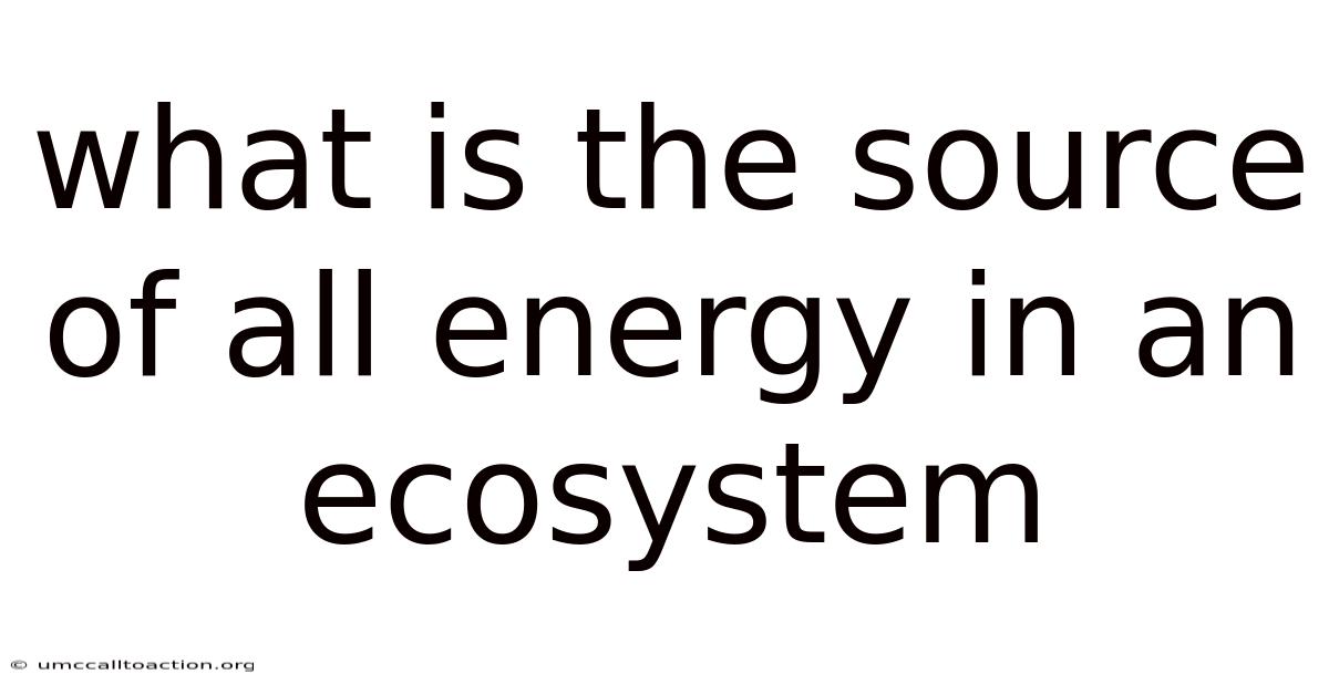 What Is The Source Of All Energy In An Ecosystem