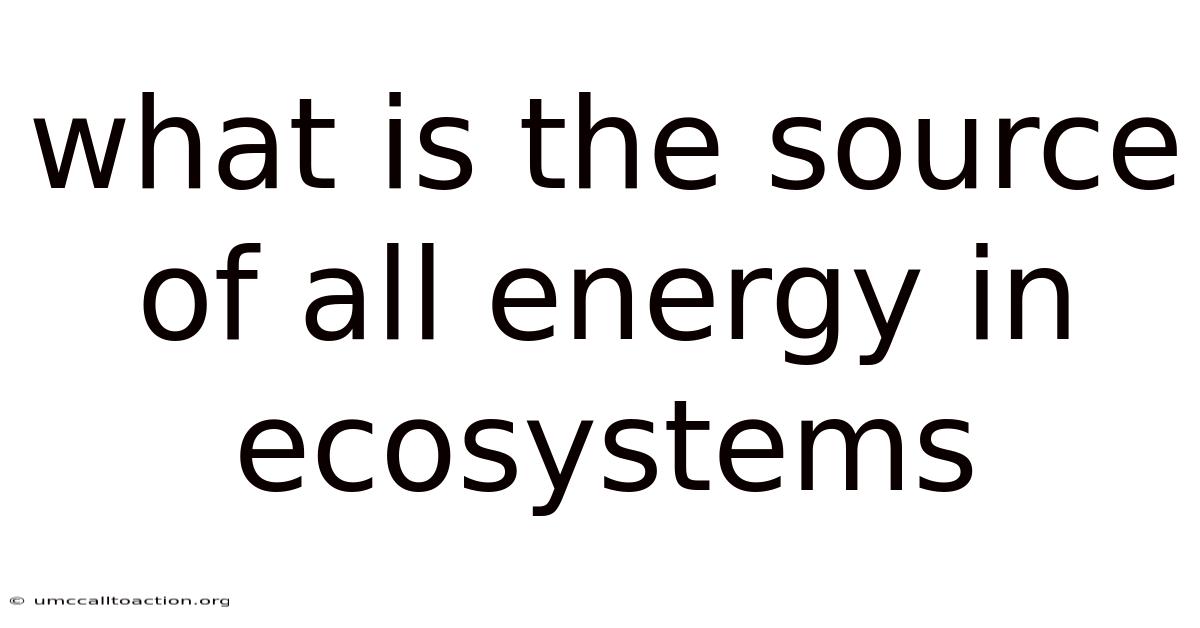 What Is The Source Of All Energy In Ecosystems