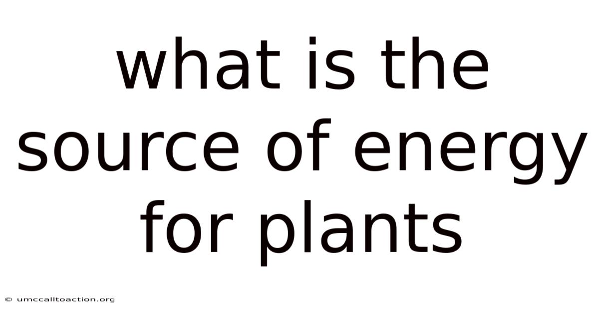 What Is The Source Of Energy For Plants