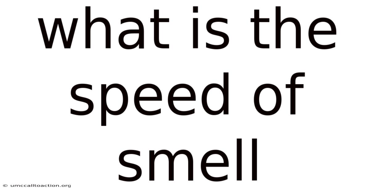 What Is The Speed Of Smell