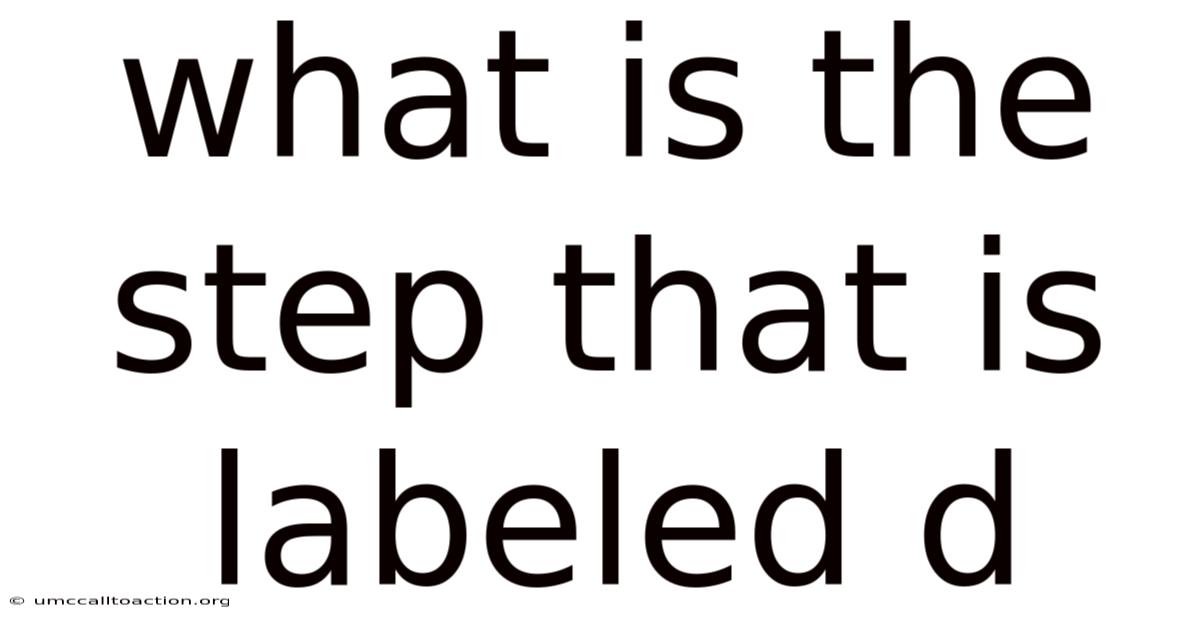 What Is The Step That Is Labeled D