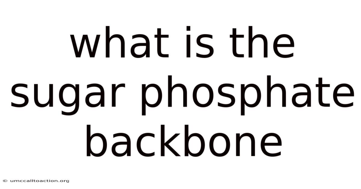 What Is The Sugar Phosphate Backbone