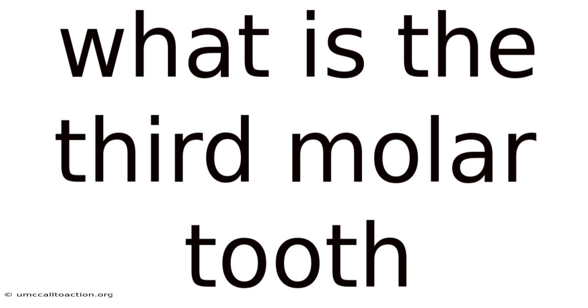 What Is The Third Molar Tooth