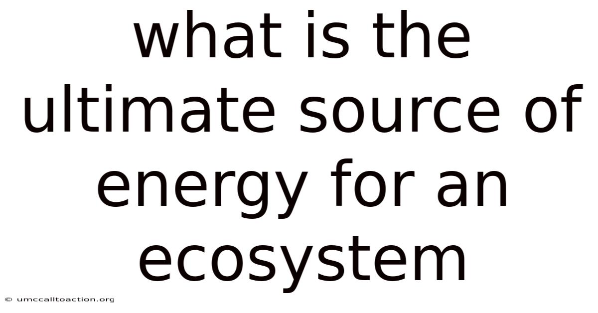 What Is The Ultimate Source Of Energy For An Ecosystem