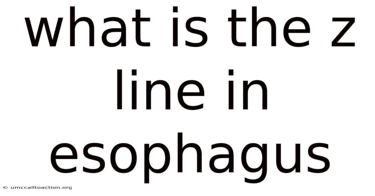 What Is The Z Line In Esophagus