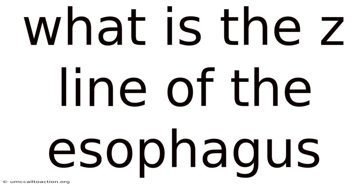 What Is The Z Line Of The Esophagus