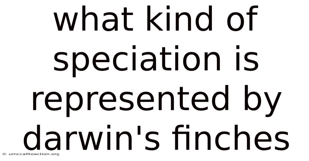 What Kind Of Speciation Is Represented By Darwin's Finches