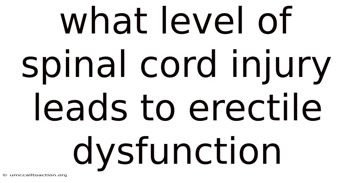 What Level Of Spinal Cord Injury Leads To Erectile Dysfunction