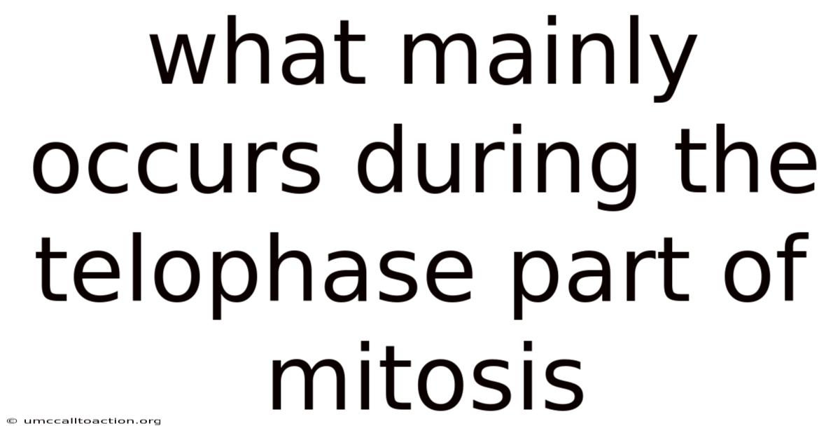 What Mainly Occurs During The Telophase Part Of Mitosis