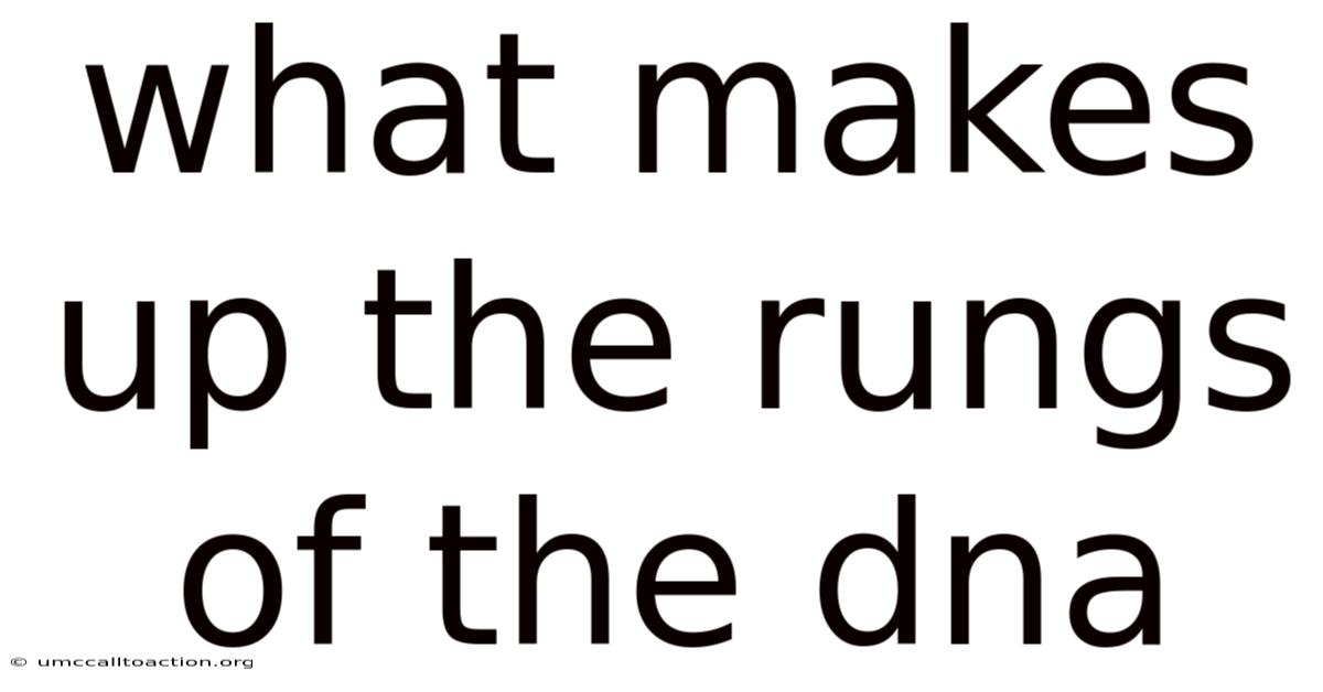 What Makes Up The Rungs Of The Dna