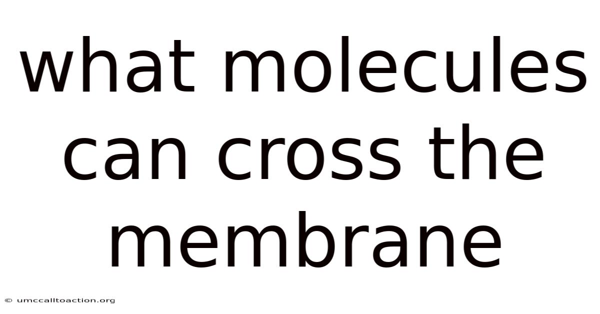 What Molecules Can Cross The Membrane