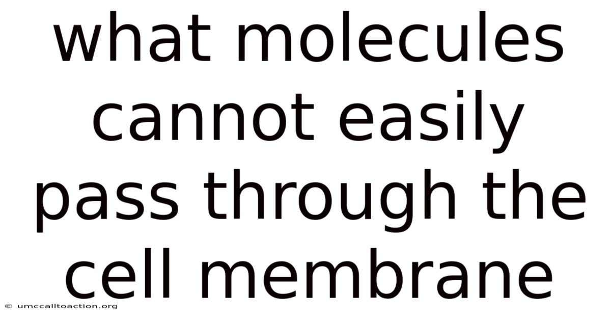 What Molecules Cannot Easily Pass Through The Cell Membrane