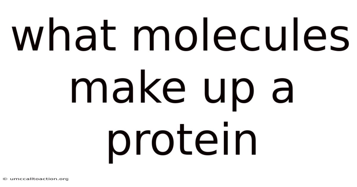 What Molecules Make Up A Protein