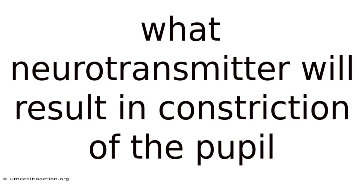 What Neurotransmitter Will Result In Constriction Of The Pupil