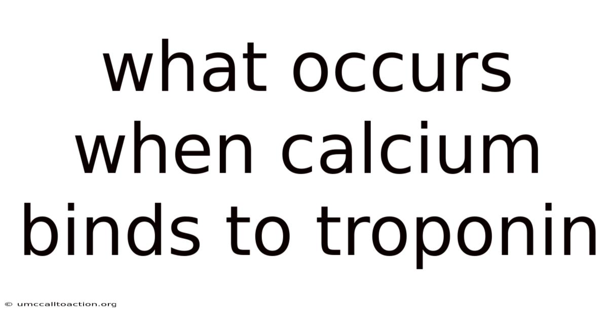 What Occurs When Calcium Binds To Troponin