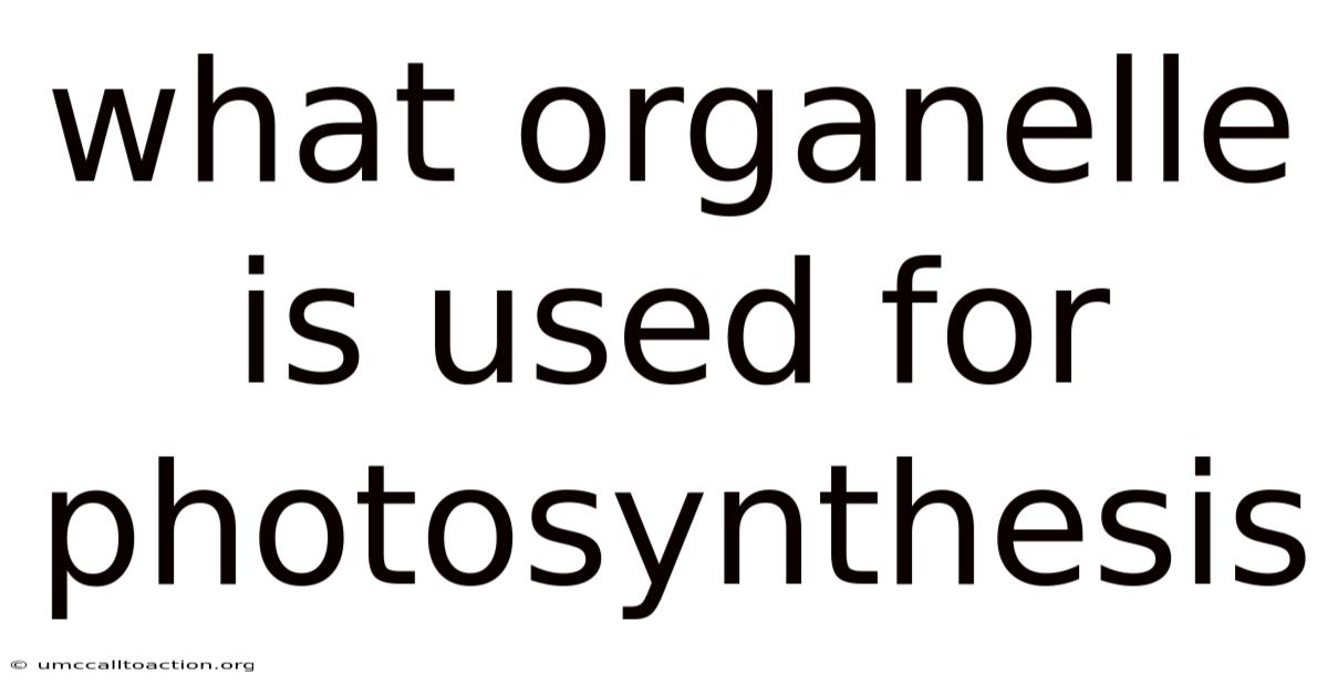What Organelle Is Used For Photosynthesis