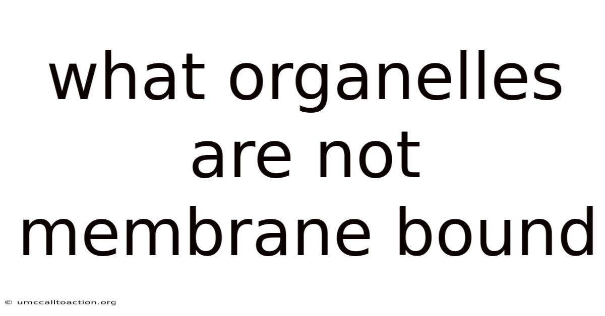 What Organelles Are Not Membrane Bound