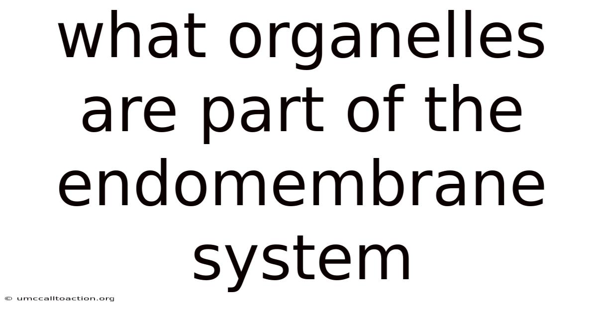 What Organelles Are Part Of The Endomembrane System