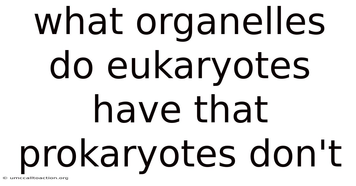 What Organelles Do Eukaryotes Have That Prokaryotes Don't