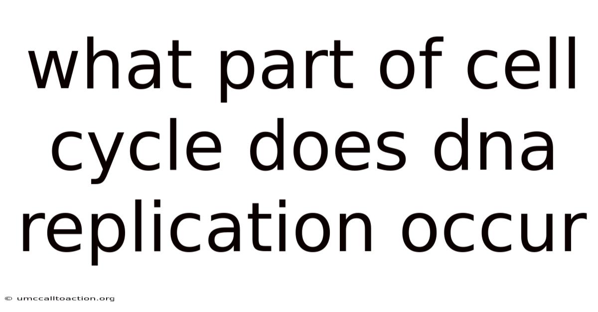 What Part Of Cell Cycle Does Dna Replication Occur