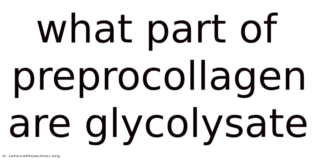 What Part Of Preprocollagen Are Glycolysate