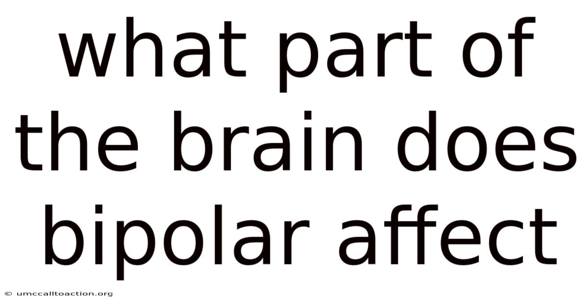What Part Of The Brain Does Bipolar Affect