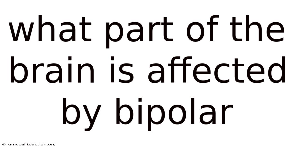 What Part Of The Brain Is Affected By Bipolar