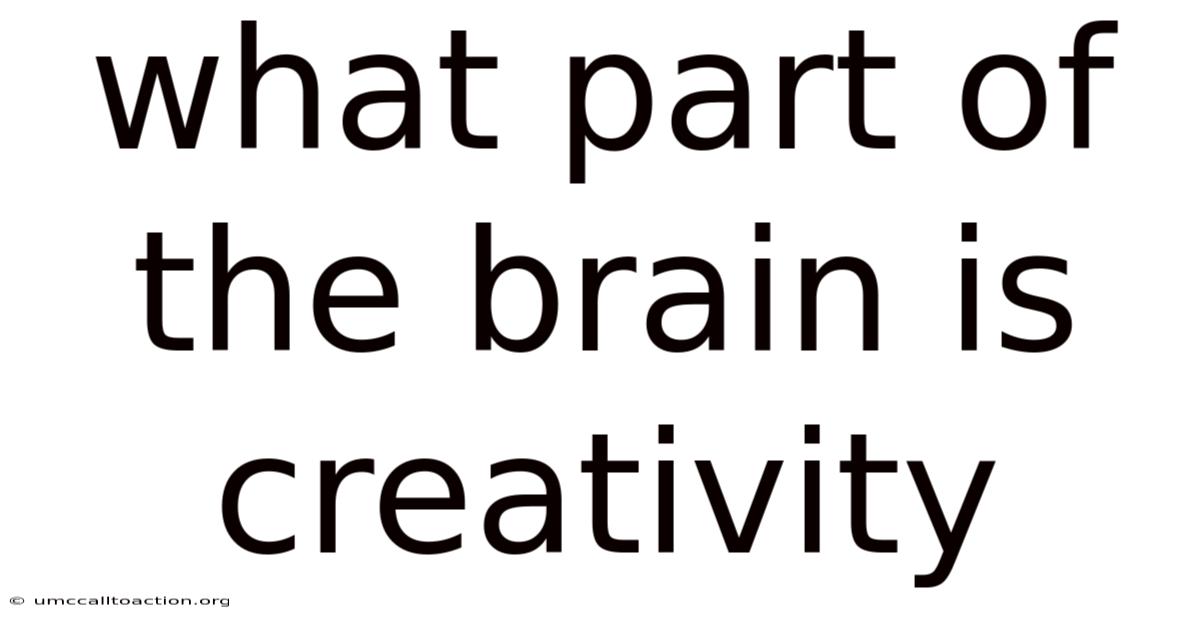 What Part Of The Brain Is Creativity