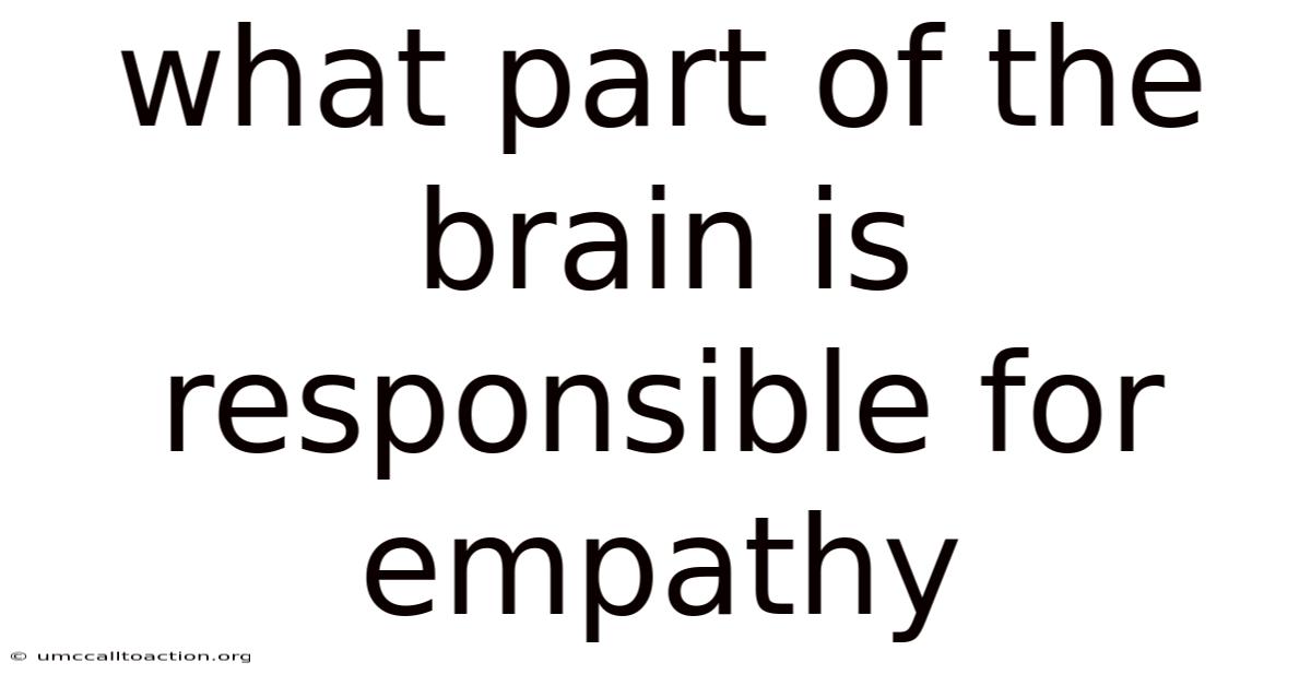 What Part Of The Brain Is Responsible For Empathy