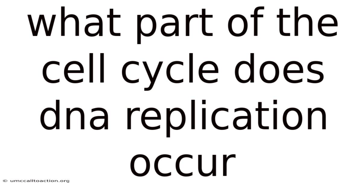 What Part Of The Cell Cycle Does Dna Replication Occur