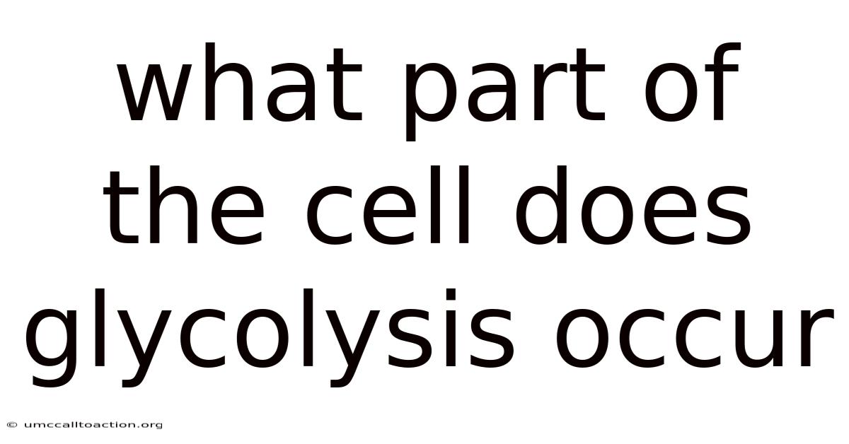 What Part Of The Cell Does Glycolysis Occur