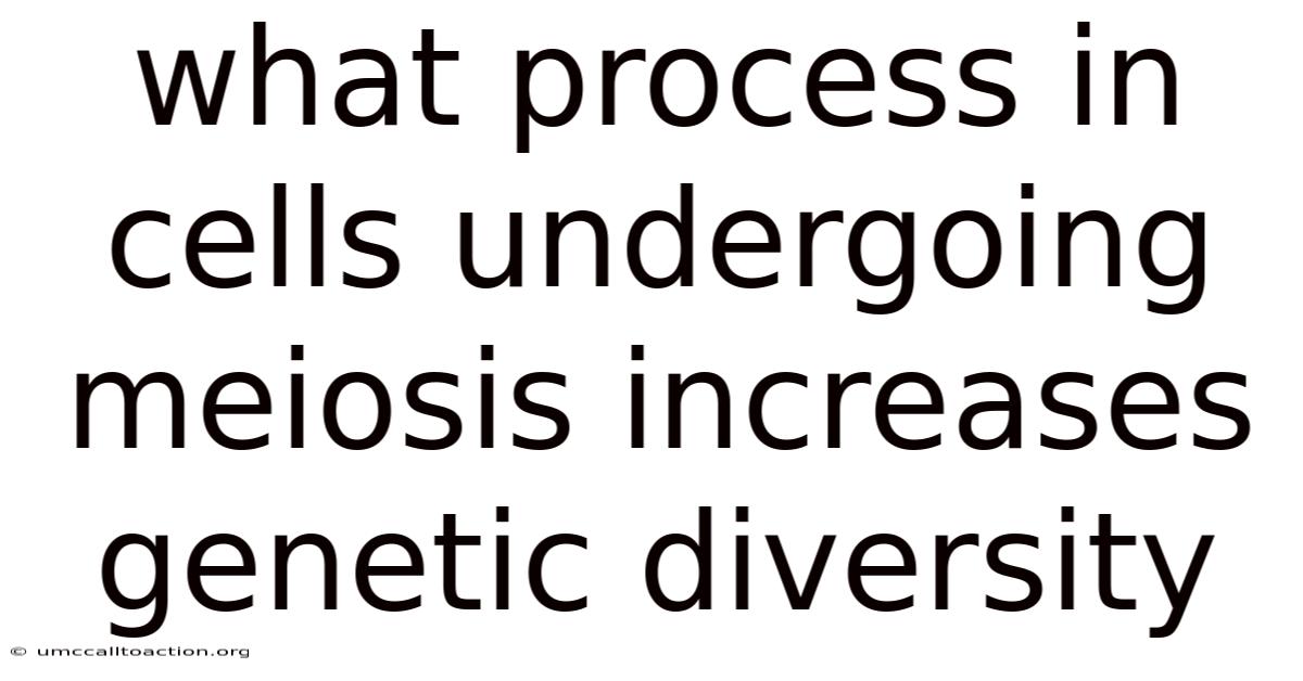 What Process In Cells Undergoing Meiosis Increases Genetic Diversity