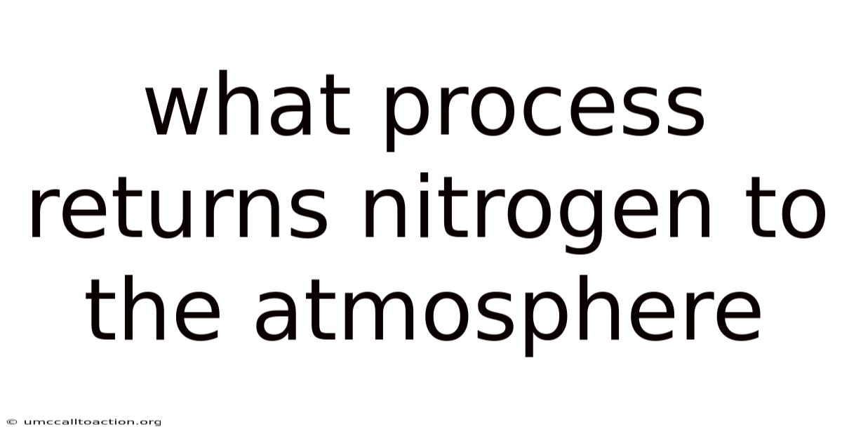 What Process Returns Nitrogen To The Atmosphere