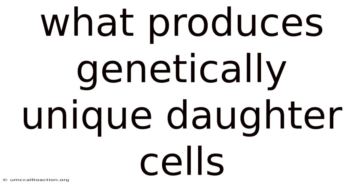 What Produces Genetically Unique Daughter Cells