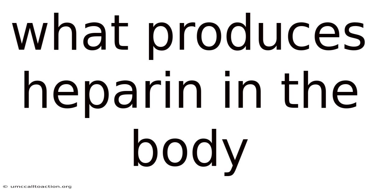 What Produces Heparin In The Body