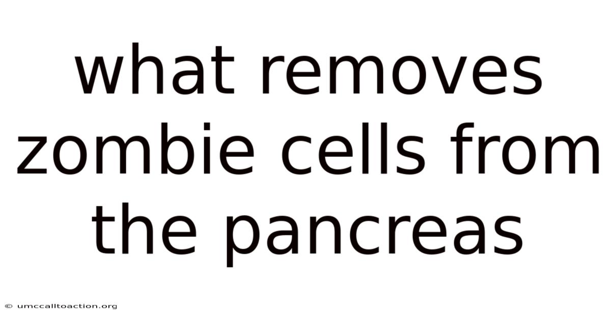 What Removes Zombie Cells From The Pancreas