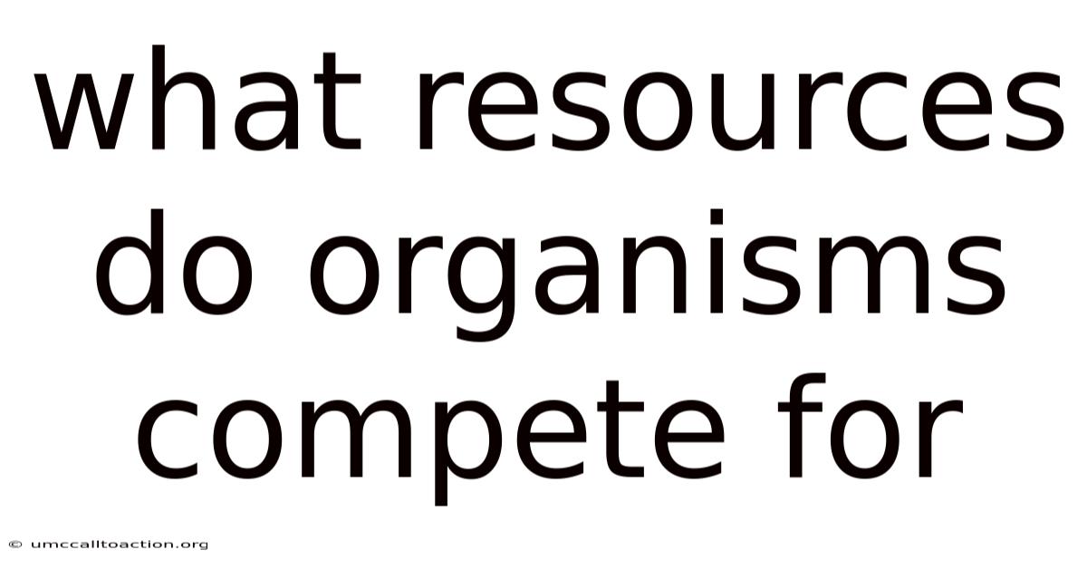 What Resources Do Organisms Compete For
