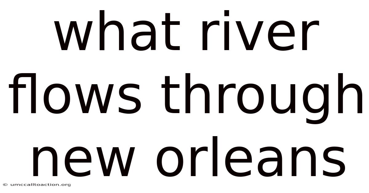 What River Flows Through New Orleans