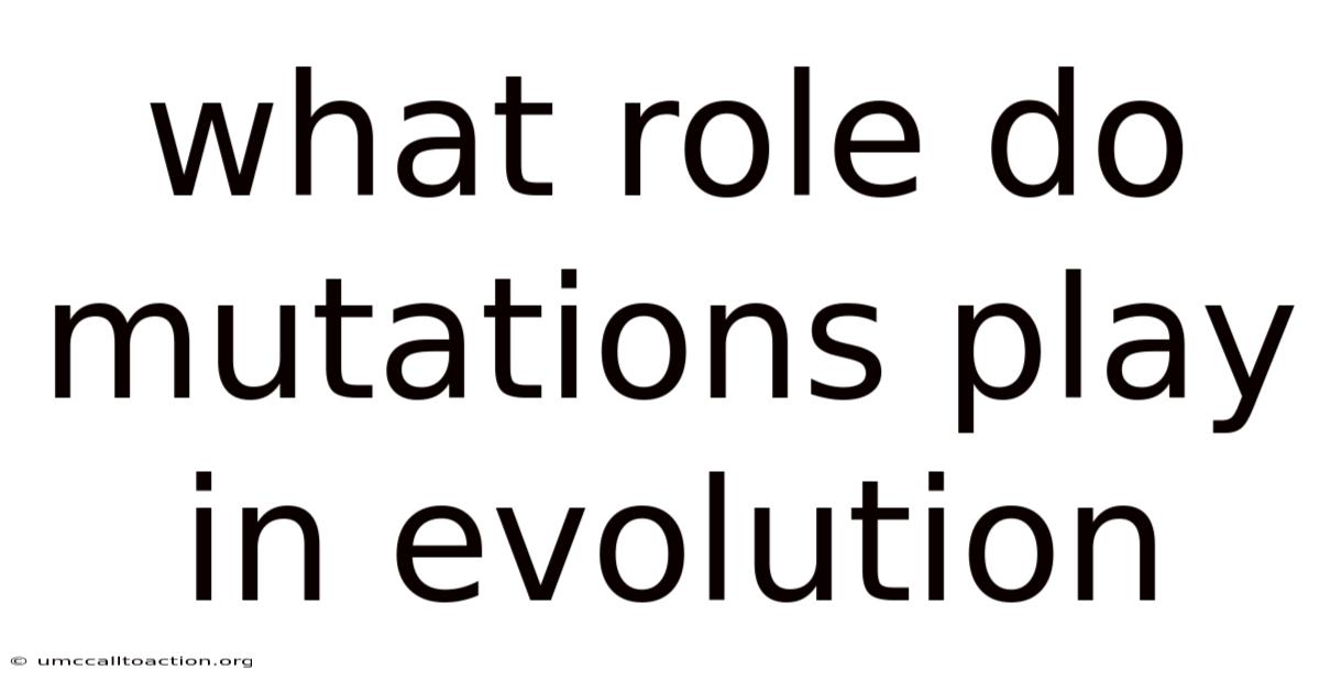 What Role Do Mutations Play In Evolution